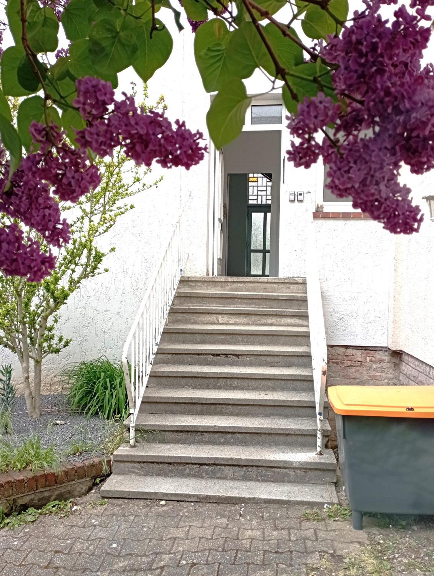 Monteurwohnung große Luise Saarbrücken Exterior foto